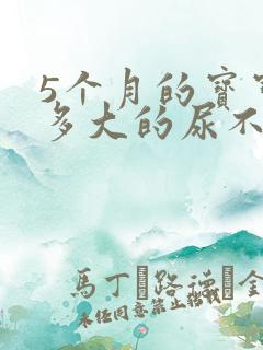 5个月的宝宝穿多大的尿不湿