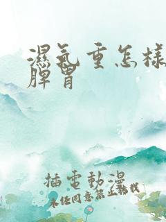 湿气重怎样调理脾胃