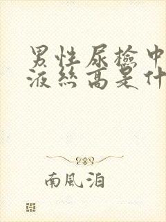 男性尿检中的粘液丝高是什么意思