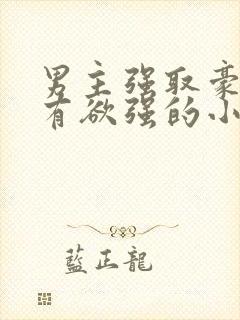 男主强取豪夺占有欲强的小说