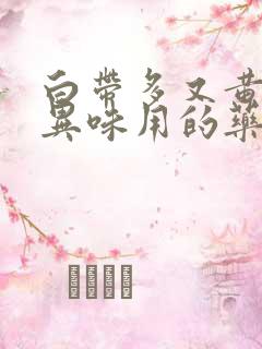 白带多又黄还有异味用的药