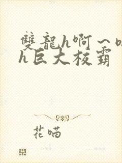 双龙h啊～嗯啊h巨大校霸