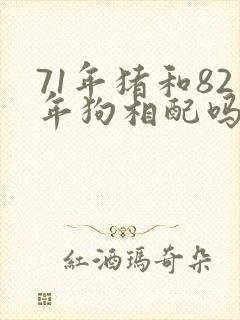 71年猪和82年狗相配吗?