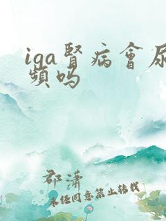 iga肾病会尿频吗