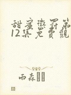 甜蜜惩罚第二季12集免费观看