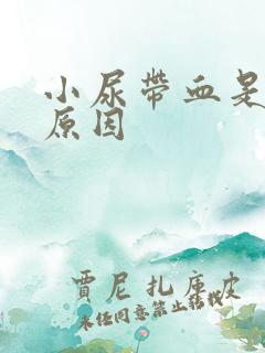 小尿带血是什么原因