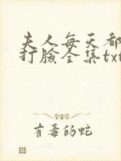 夫人每天都在线打脸全集txt下载