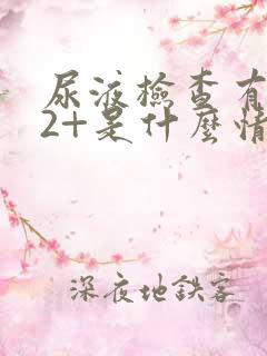 尿液检查有隐血2+是什么情况