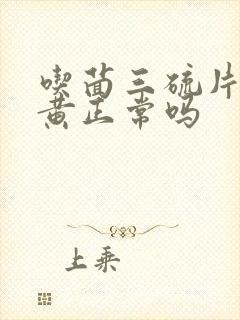 吃茴三硫片尿发黄正常吗