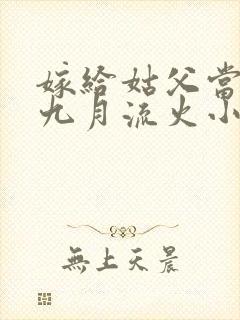 嫁给姑父当继室九月流火小说