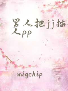 男人把jj插女人pp