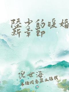 陆少的暖婚新妻新章节