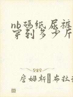 nb码纸尿裤能穿到多少斤