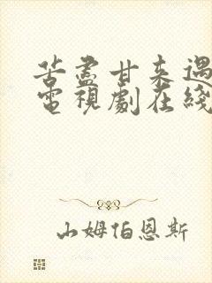 苦尽甘来遇见你电视剧在线观看免费高清全集