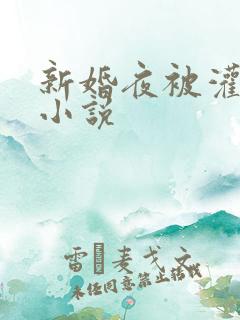 新婚夜被灌醉强小说