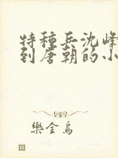 特种兵沈峰穿越到唐朝的小说