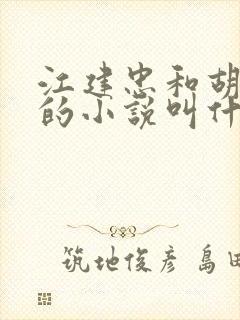 江建忠和胡慧美的小说叫什么