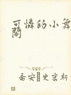 可怜的小舞笔趣阁