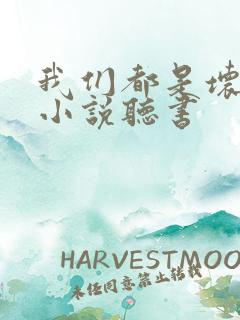 我们都是坏孩子小说听书