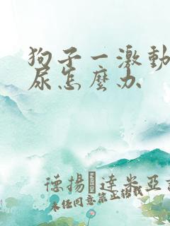 狗子一激动就漏尿怎么办