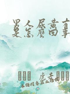 男人尿黄有味道是怎么回事