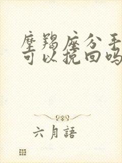 摩羯座分手后还可以挽回吗