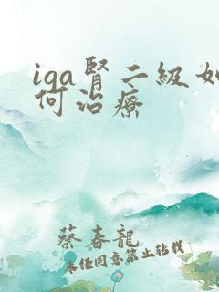 iga肾二级如何治疗
