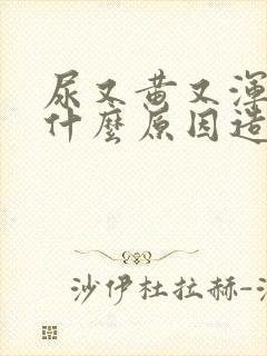 尿又黄又浑浊是什么原因造成的