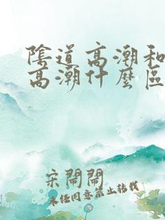 阴道高潮和阴蒂高潮什么区别