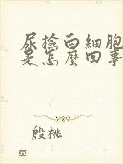 尿检白细胞阳性是怎么回事