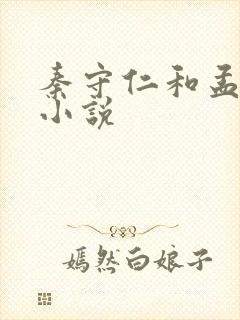 秦守仁和孟秋兰小说