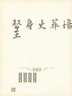 替身火葬场双男主