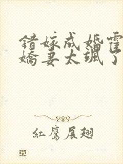 错嫁成婚霍少小娇妻太飒了