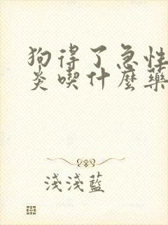 狗得了急性肠胃炎吃什么药