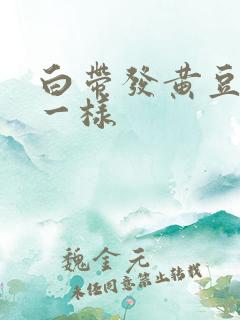 白带发黄豆腐渣一样