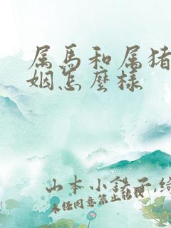 属马和属猪的婚姻怎么样