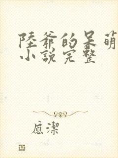 陆爷的呆萌甜妻小说完整