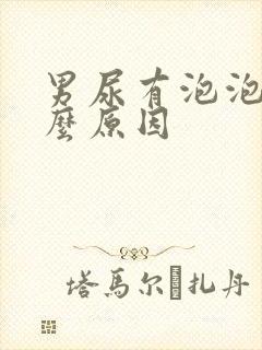 男尿有泡泡是什么原因