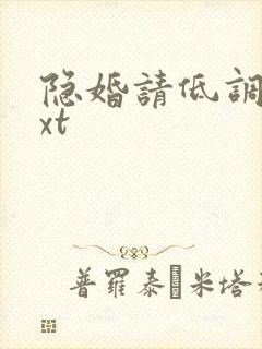 隐婚请低调 txt