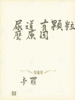 尿道有颗粒是什么原因