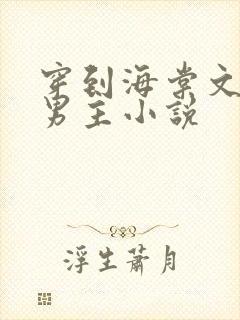 穿到海棠文的双男主小说