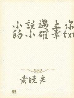 小说遇上你是我的小确幸txt下载