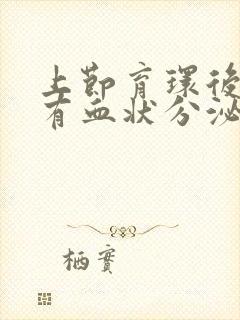 上节育环后经常有血状分泌物