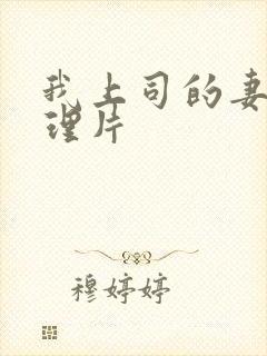 我上司的妻子伦理片