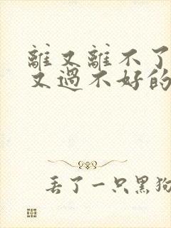 离又离不了,过又过不好的婚姻怎么办