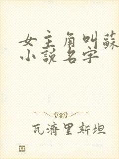 女主角叫苏媚的小说名字