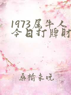1973属牛人今日打牌财运如何