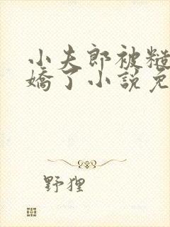 小夫郎被糙汉宠娇了小说免费阅读