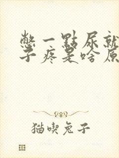 憋一点尿就小肚子疼是啥原因