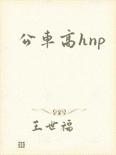 公车高hnp